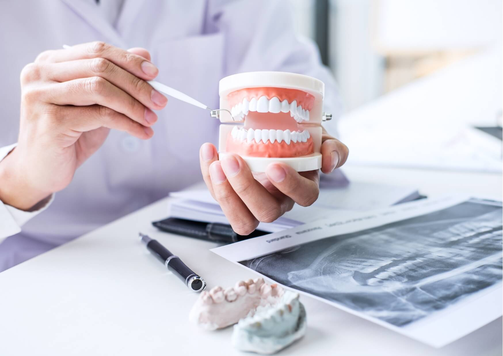 Dentist using a dental model to explain why a bone graft may be needed before placing dental implants.